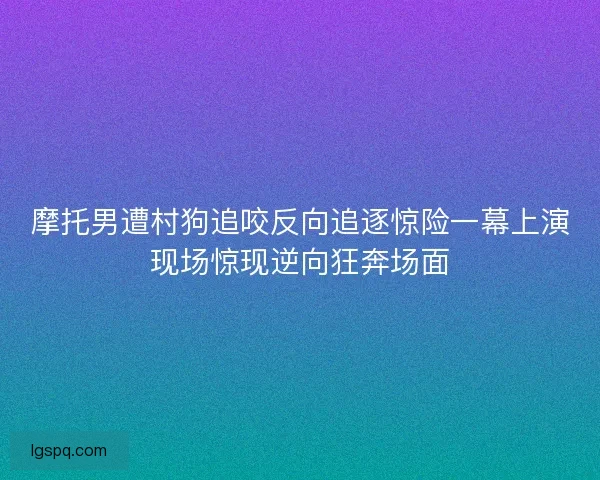 摩托男遭村狗追咬反向追逐惊险一幕上演现场惊现逆向狂奔场面