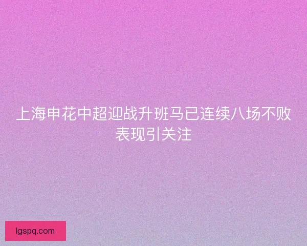 上海申花中超迎战升班马已连续八场不败表现引关注 上海申花中超迎战升班马已连续八场不败表现引关注
