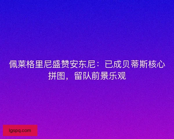 佩莱格里尼盛赞安东尼：已成贝蒂斯核心拼图，留队前景乐观